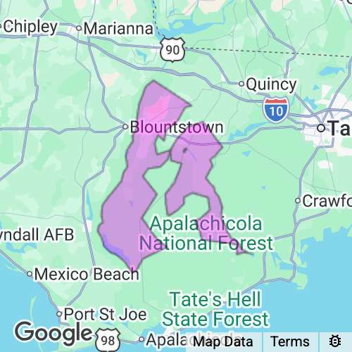 Liberty County Florida real estate agent mailing area