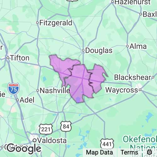 Atkinson County Georgia real estate agent mailing area