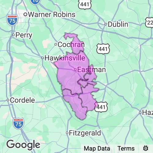 Dodge County Georgia real estate agent mailing area