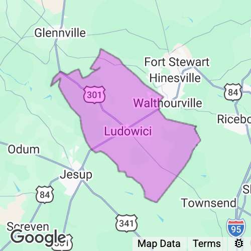 Long County Georgia real estate agent mailing area