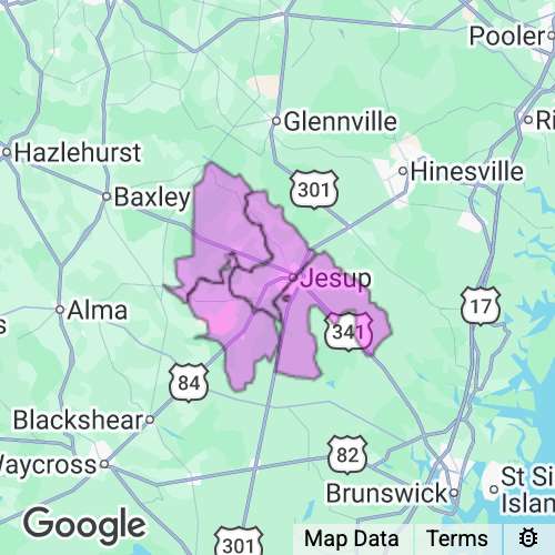 Wayne County Georgia real estate agent mailing area