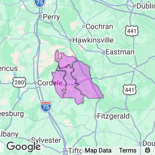 Wilcox County Georgia real estate agent mailing area