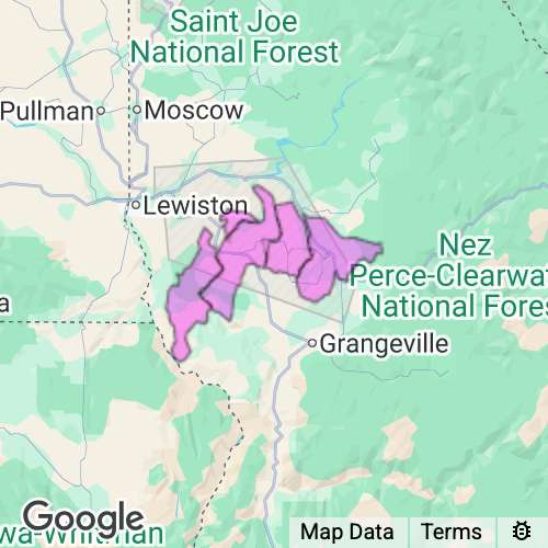 Lewis County Idaho real estate agent mailing area