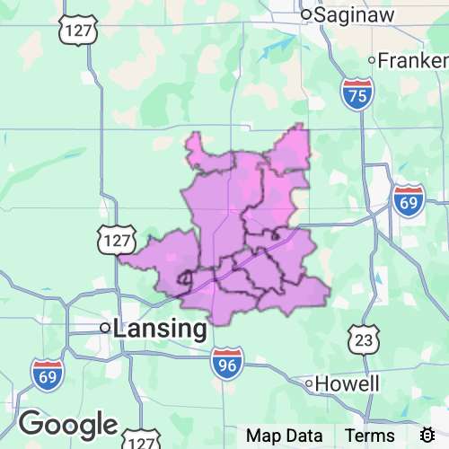 Shiawassee County Michigan real estate agent mailing area