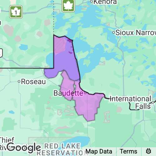 LAKE OF THE WOODS county map