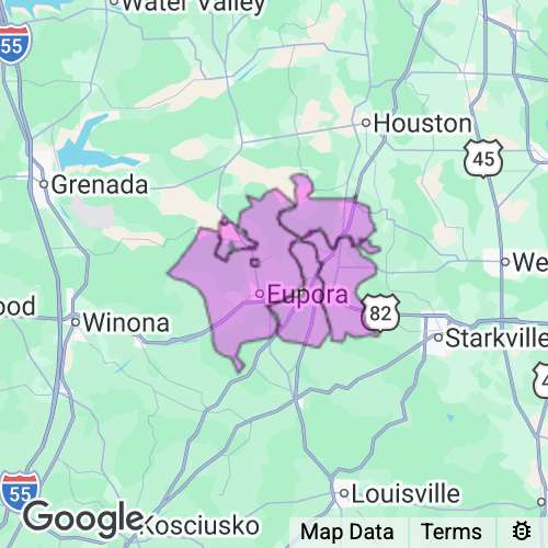 Webster County Mississippi real estate agent mailing area