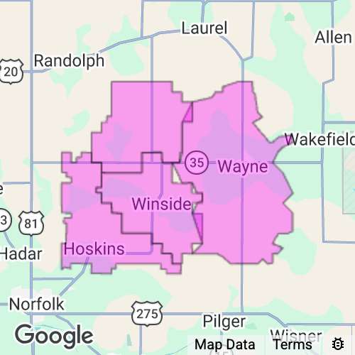 WAYNE county map