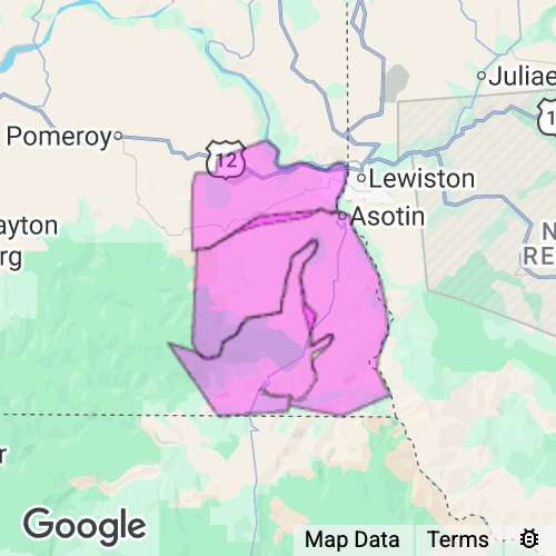 ASOTIN county map
