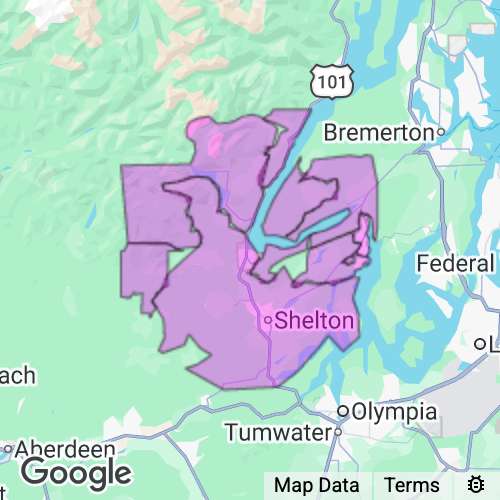 MASON county map